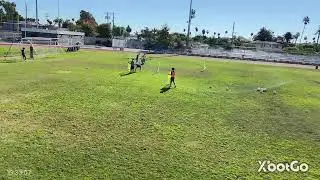 Nick Webster Live Stream