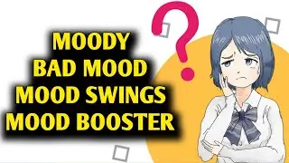 The Meaning of the Terms Moody, Bad Mood, Mood Swings And Mood Booster