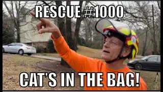 Rescue #1000 (Featuring Normer Adams of Cat Man Do Rescue in Fayetteville, GA)