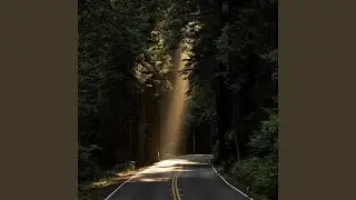 Memories with Nature