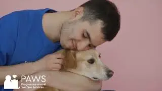 You Have a Friend in Your Pet!