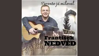 Toronto já miloval