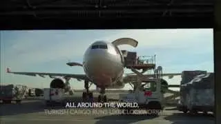 CMS Airlines Representative - Turkish Cargo