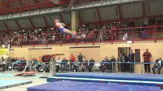 Sawatzky, Michael 1991 GER (TuS Vinnhorst) - Sprung