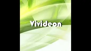 Презентация Vivideon
