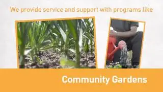 Project  Feeding  Kids(9)