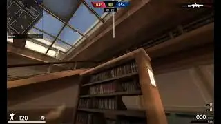 Point Blank | Clean Kill