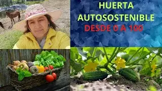 Los MEJORES CONSEJOS para iniciar una HUERTA FAMILIAR.