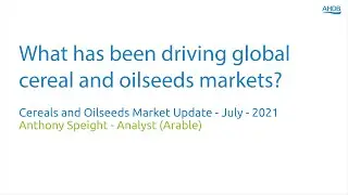 What has been driving global cereal and oilseeds markets? Cereal & Oilseed Market Update &ndash; July 2021