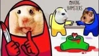 Among Hamster Life of pet hamham! 