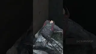 Dual Gone Wrong