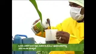 Vinzyme L with vijetha EDTA mixed using method|kannada|Navabharath fertilizer limited|🌾🌿🌾|