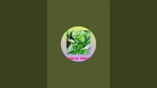 Farmlab Organics and Wellness  is live!