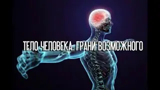 Тело человека. Грани Возможного. Зрение | Discovery