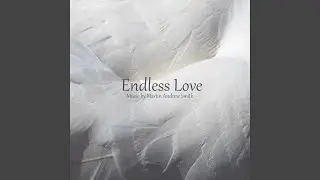 Endless Love