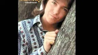 david cassidy- cherish. avi