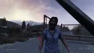 DayZ Day 45 1-27 Compilation/Highlights AI/Bots