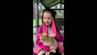 Rain's Cat Video