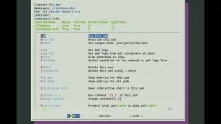 workflow inside pod