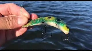Big Pike on the Lazy Ike