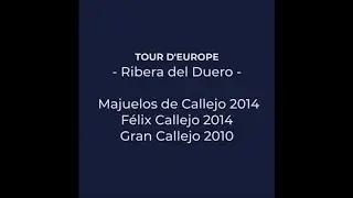 Tour d&rsquo;Europe 4&ordm; epis&oacute;dio: Os vinhos de alta gama das Bodegas Felix Callejo