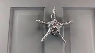 Bright Chrome Star Fish Door Knocker