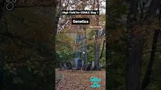 High Yield Genetics #usmle #doctor #medical #medschool #medicalstudents #usmlestep1 #usmleprep