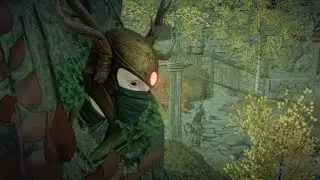 Whats It Like Being Part Tree - Vermintalks