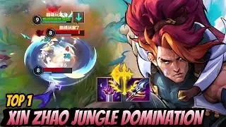 TOP 1 XIN ZHAO GAMPEPLAY IN CHINA | INSANE XIN ZHAO