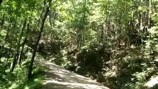 Tatham Gap Road 3