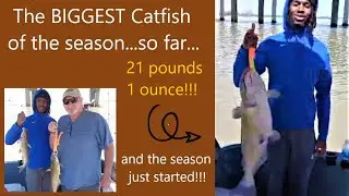 The BIGGEST Catfish so far this year ~ Captain Scott's Catfish Charters