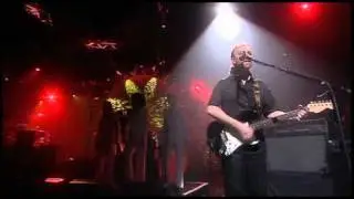 Australian Pink Floyd - Comfortably Numb