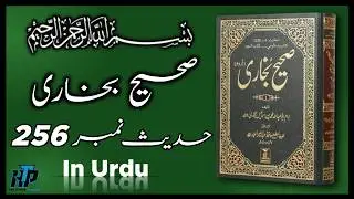 Sahih Bukhari Hadees no 256 in Urdu | Hadees e nabvi in Urdu | Chapter no 5 | The Hadith Preacher