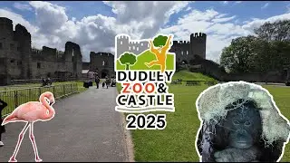 Dudley Zoo & Castle Walkthrough May 2025
