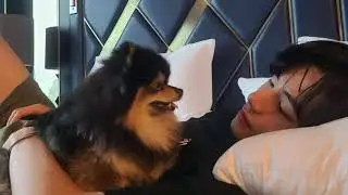 Morning with Taehyung BTS - Deep and gentle voice || asmr - talking to you for 6 minutes