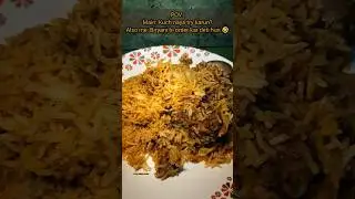 Biryani Lovers | Food Vlog | Meme | Sister Diaries by Miri