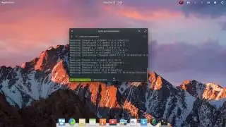 How to clean up operating system (Linux)