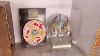 Brief visual tour to Lamdon School Leh