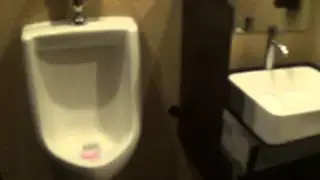 Clean & Remodeled Bathroom at Phoenix Restaurant