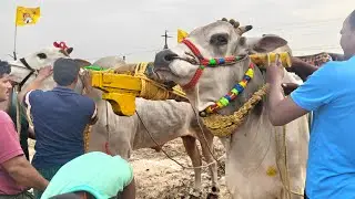 ఆకునూరు పూటి న్యూ జూనియర్స్ 3వ KSR BULLS COMIND చందన. వీరేశ్వరావు గారు