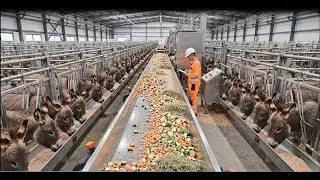 Inside a Donkey Milk & Hide Processing Facility | Niche Luxury Market