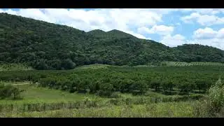 North Coast Highway Jamaica (Through Linstead/Bog Walk, St. Catherine). Jamaican Heritage