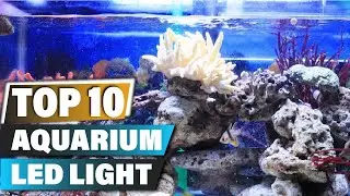 Лучшие светодиодные светильники для аквариума в 2025 году &mdash; обзор 10 лучших светодиодных светильников для аквариума