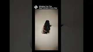 Creative Shoe Content Ideas for Instagram Reels | Engage Your Fashion Audience