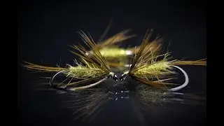 Olivka (wet fly) by Džon Cek