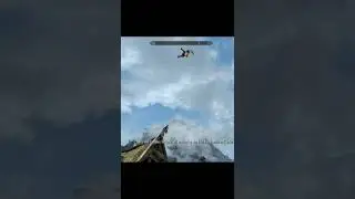 Cursed Skyrim Mods - Skyrim Randomizer Stream Highlight