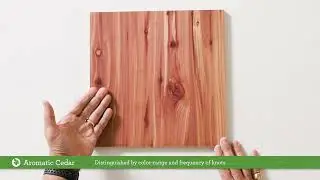 CFP&rsquo;s Wood Species 101 | Aromatic Cedar