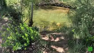 PROYECTO 74 | UN RATO DE PESCA EN EL R&Iacute;O NAJERILLA