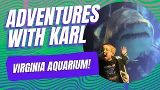 Adventures with Karl! | 🦈 Virginia Aquarium 🐢| Koaster Karl