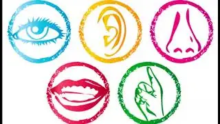 5 Ways to Wellbeing   Mindful Object Task Medium